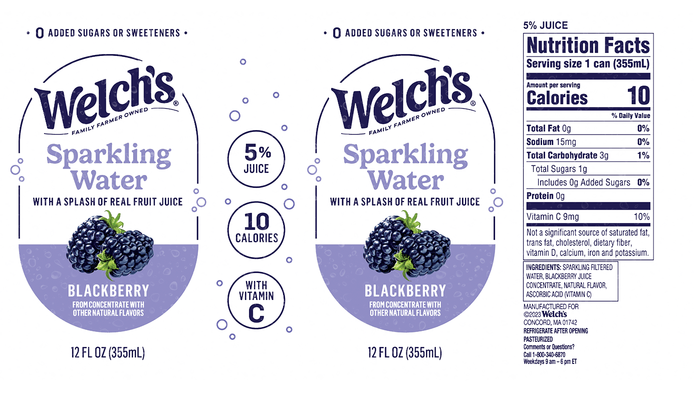 Picture of a cold and refreshing can of Welch's sparkling water.