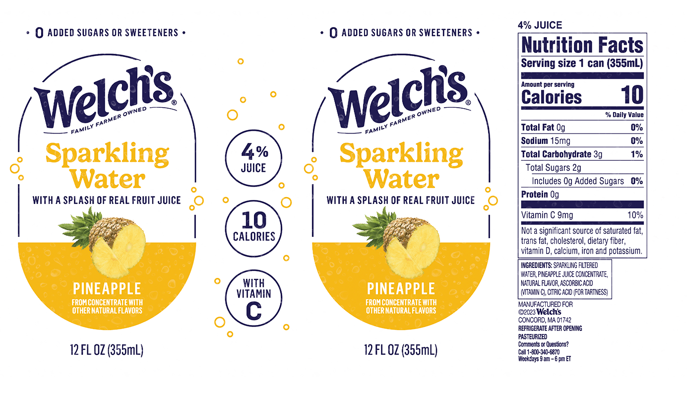 Picture of a cold and refreshing can of Welch's sparkling water.